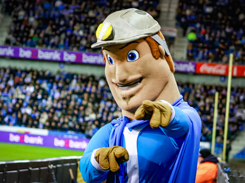 Spelregels website